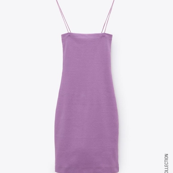 Purple Ribbed Mini Dress Zara 